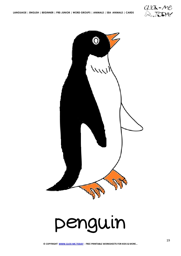 Sea animal flashcard Penguin - Printable card of Penguin