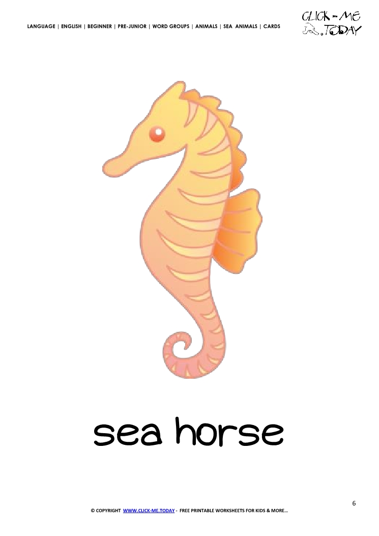 Sea animal flashcard Sea horse - Printable card of Sea horse