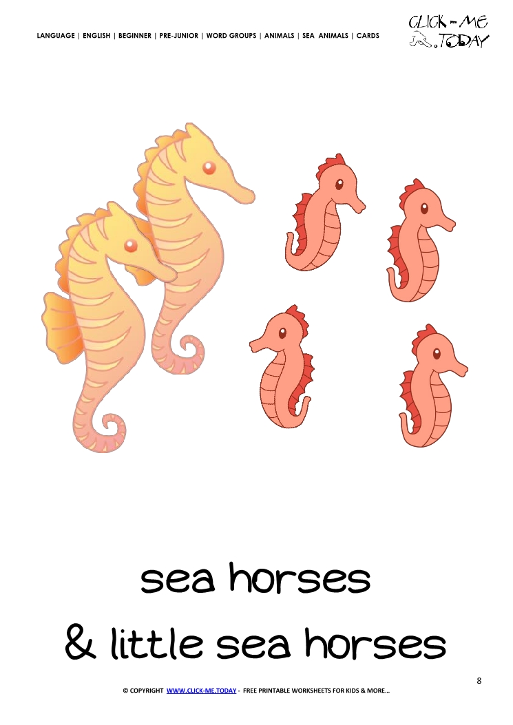 Sea animal flashcard Sea horses - Printable card of Sea horses