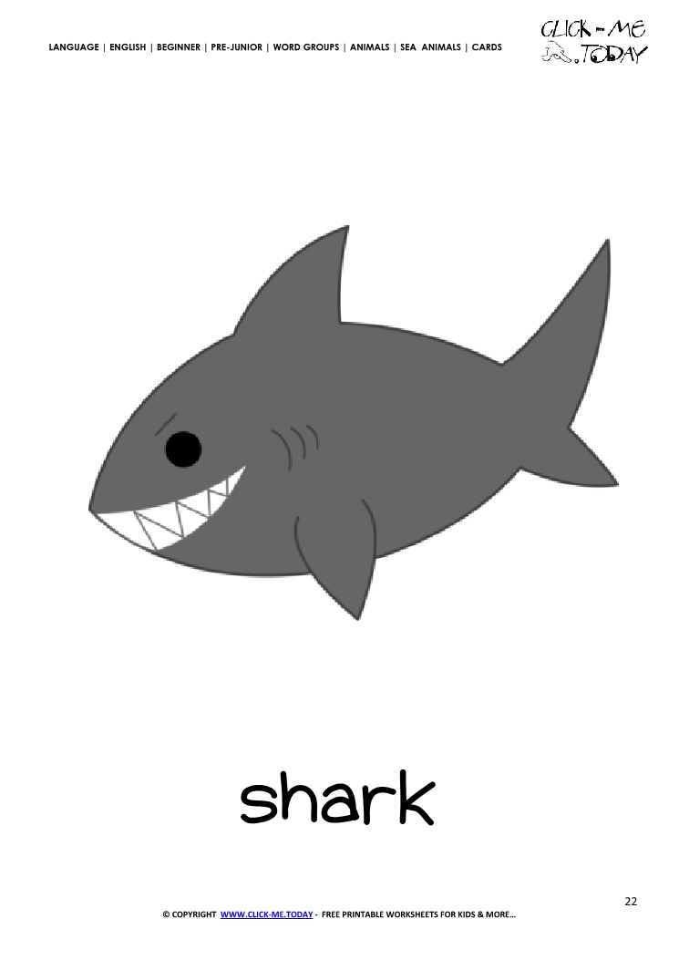 Sea animal flashcard Shark - Printable card of Shark