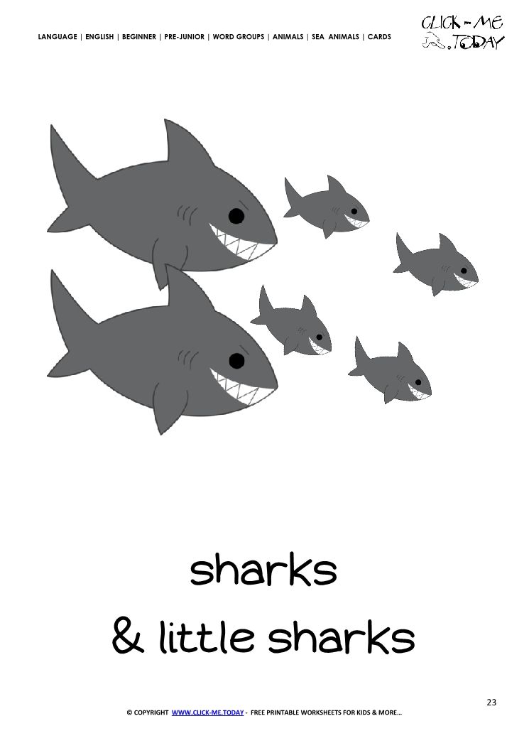 Sea animal flashcard Sharks - Printable card of Sharks