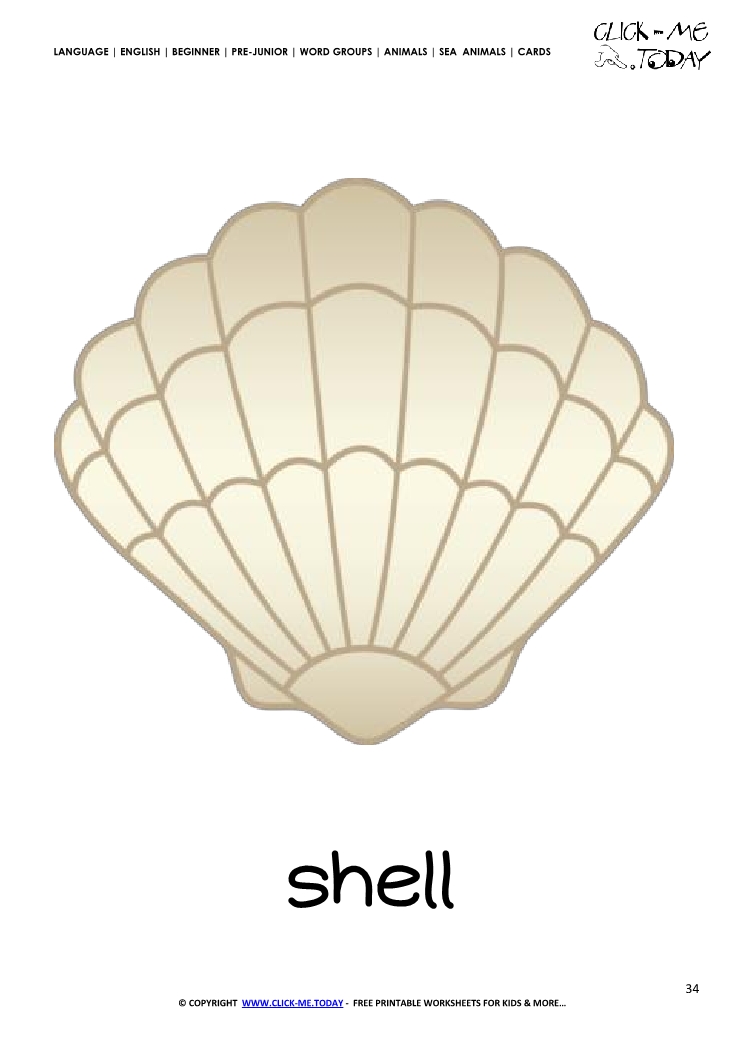 Sea animal flashcard Shell - Printable card of Shell