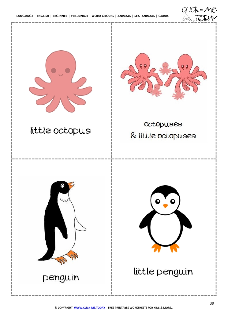 Free printable Sea animals Classroom cards - Octopuses & Penguins