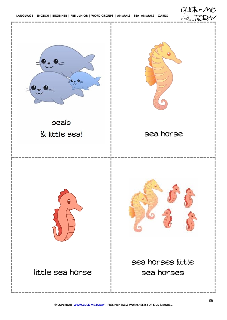 Free printable Sea animals cards -  Seals & Sea horses
