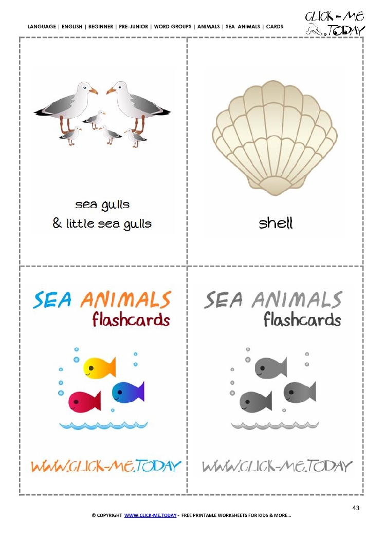 Free printable Sea animals pictures - Sea gulls & Shells