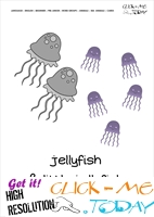 Sea animal flashcard Jellyfish - Printable card of Jellyfish Family