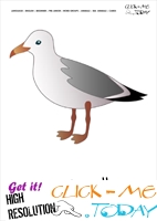 Sea animal flashcard Sea gull - Printable card of Sea gull