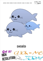 Sea animal flashcard Seals - Printable card of Seals