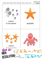 Free printable Sea animals cards - Jellyfish & Starfish