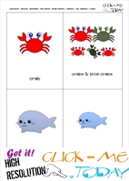 Free printable Sea animals cards 1 - Crabs & Seals