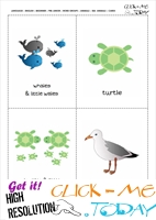 Free printable Sea animals pictures - Turtles & Sea gulls