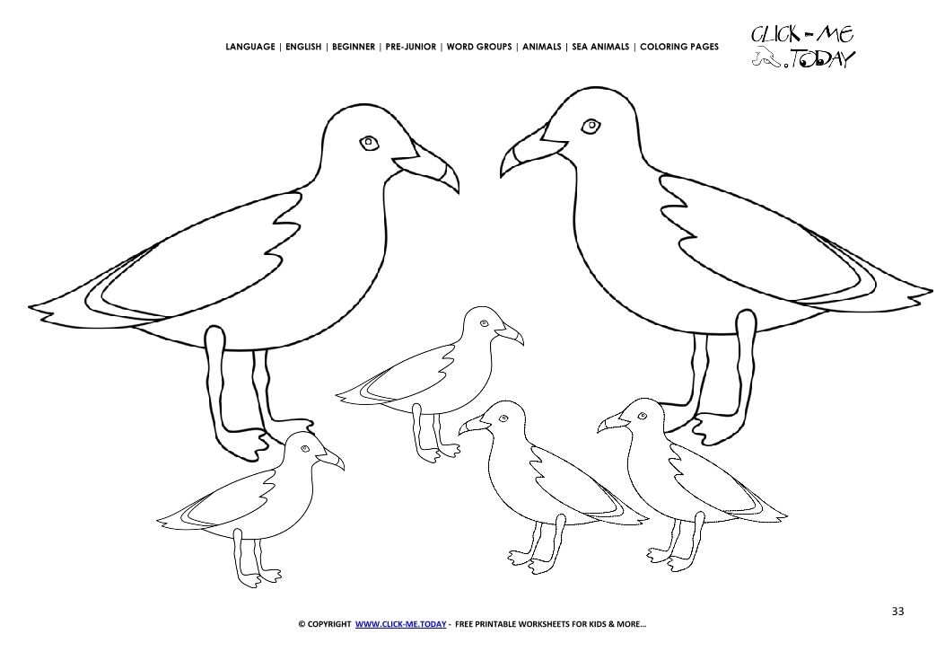 Coloring page Sea gulls - Color picture of Sea Gulls
