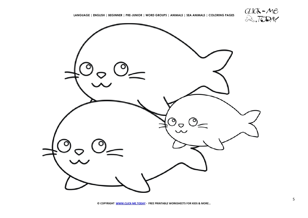 Coloring page Seals - Color picture of Seals