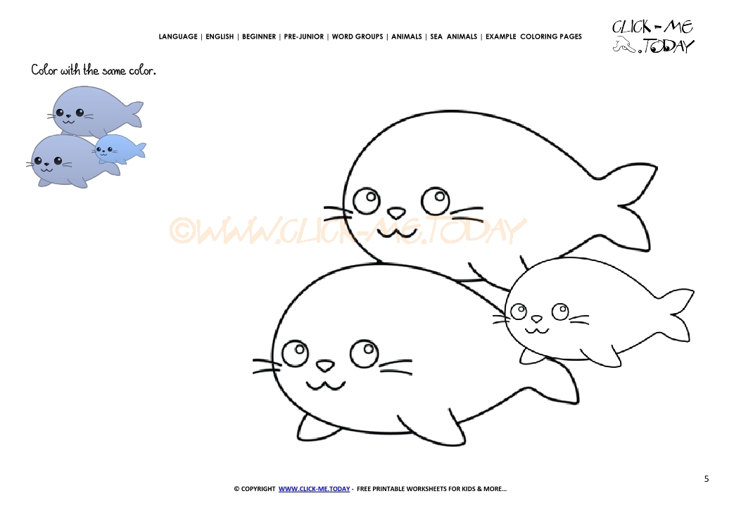 Example coloring page Seals - Color picture of Seals