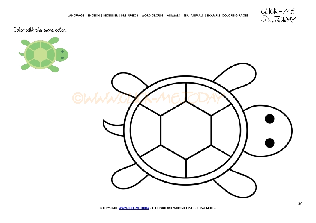 Example coloring page Turtle - Color picture of Turtle