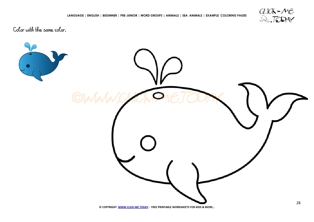 Example coloring page Whale - Color picture of Whale