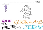 Example coloring page Sea horse - Color picture of Sea horse