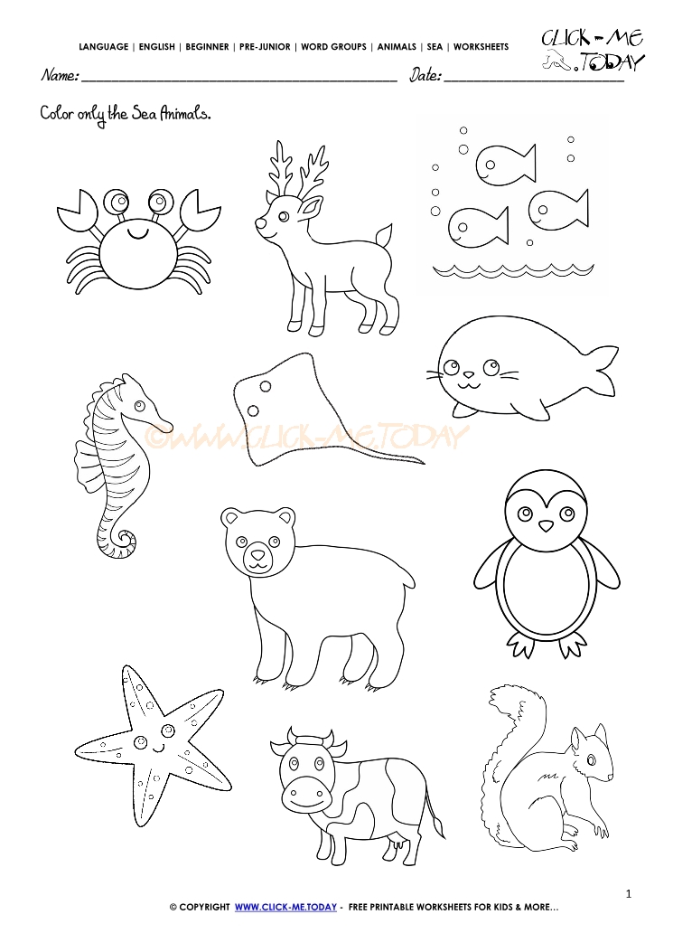 Sea Animals Worksheet  Activity sheet Color 1