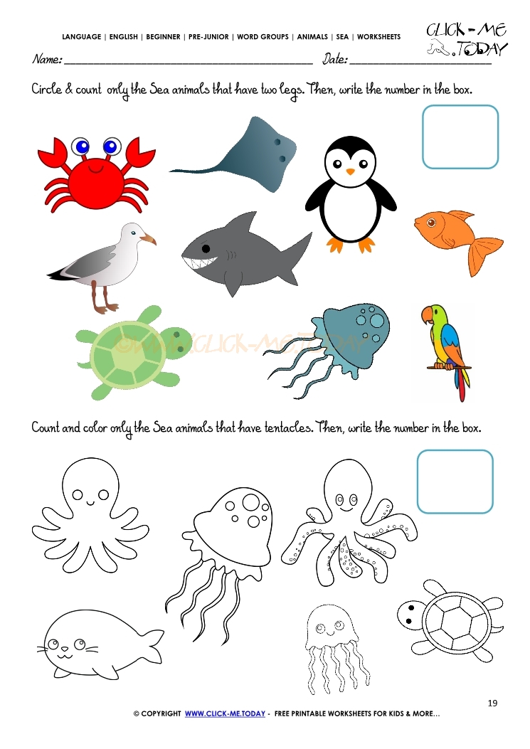 Sea Animals Worksheet - Activity sheet  Count 19