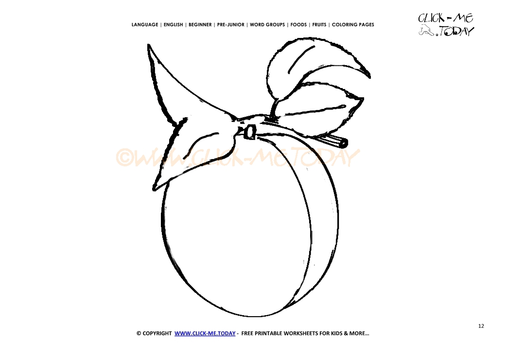Apricot coloring page - Free printable Apricot cut out template