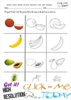 Fruits Worksheet 42 - Color the same Tropical Fruit