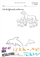 Free printable Heavy - Light Activity sheets & Worksheets 3